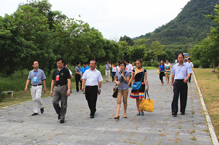 田阳gdp_田阳高中图片(2)