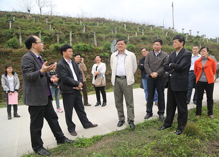 收入证明_农民收入倍增 江宁镇