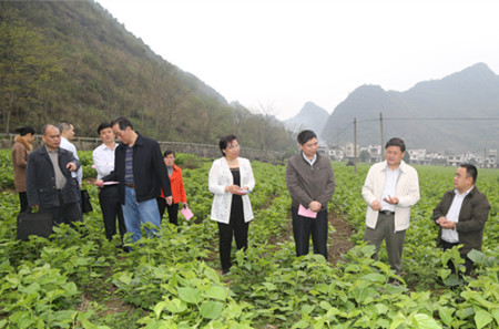 收入证明_农民收入倍增 江宁镇