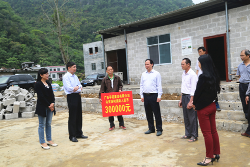 村集体经济规划_集体经济收入