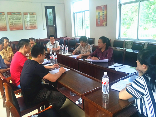 村集体经济规划_集体经济收入(2)