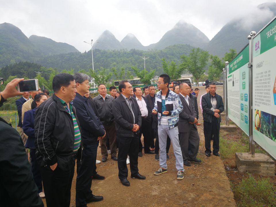 右江区有多少人口(2)