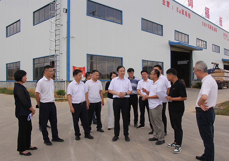 IMG_0226图为调研组到百色市刚强木业有限公司年产8万立方米家具板项目调研。.JPG