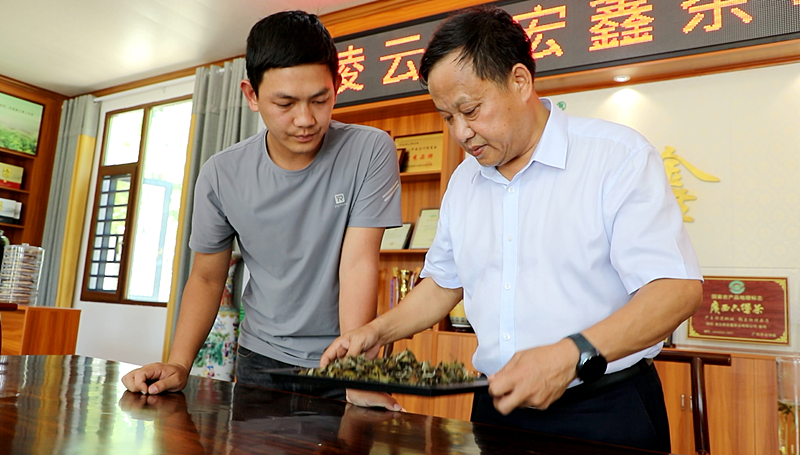刘承志代表（右）正在与管理人员研究制茶工艺.png