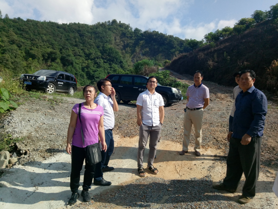 右江区人口_右江区的人口民族