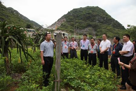 图为自治区人大代表实地调研平果县果化镇布尧村石漠化综合治理示范点