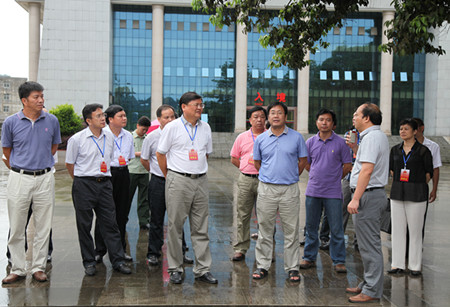 图为调研组在靖西龙邦口岸调研.