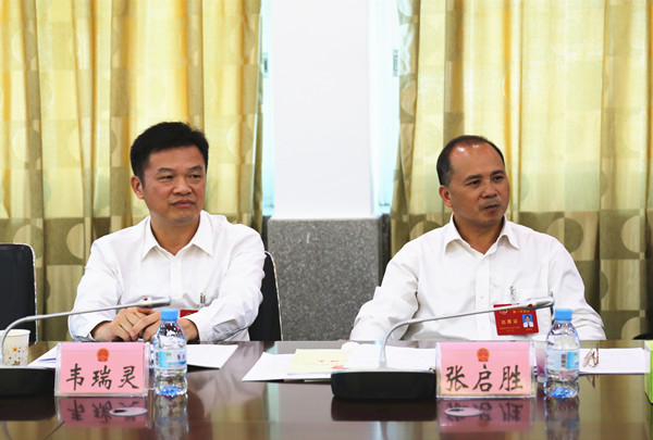 韦瑞灵参加平果县,隆林各族自治县代表团审议报告