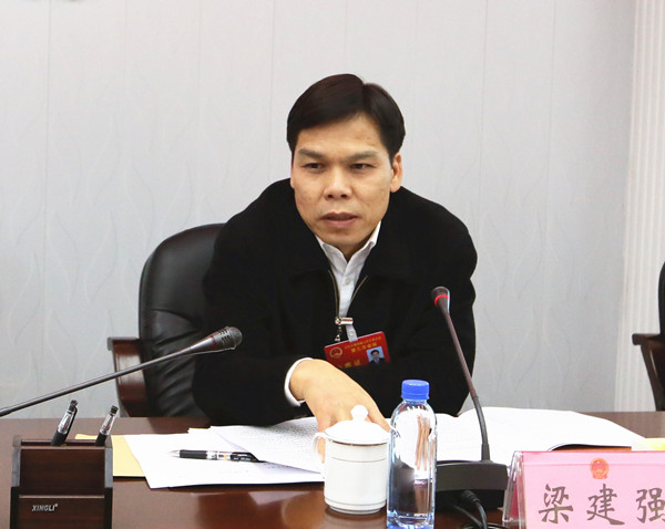 梁建强参加田东县代表团审议政府工作报告