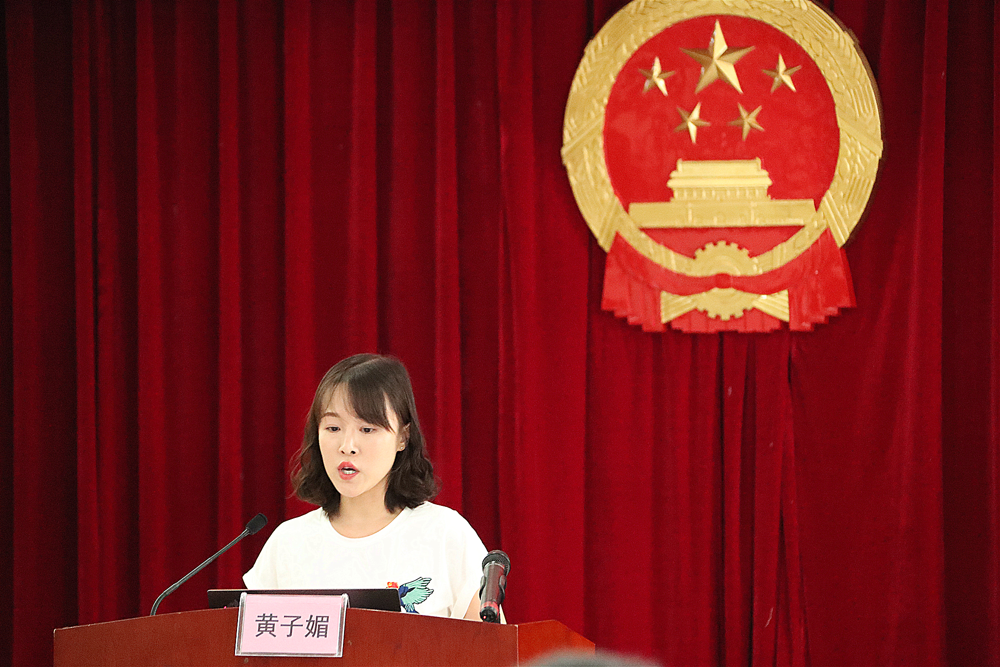 广西百色人大网