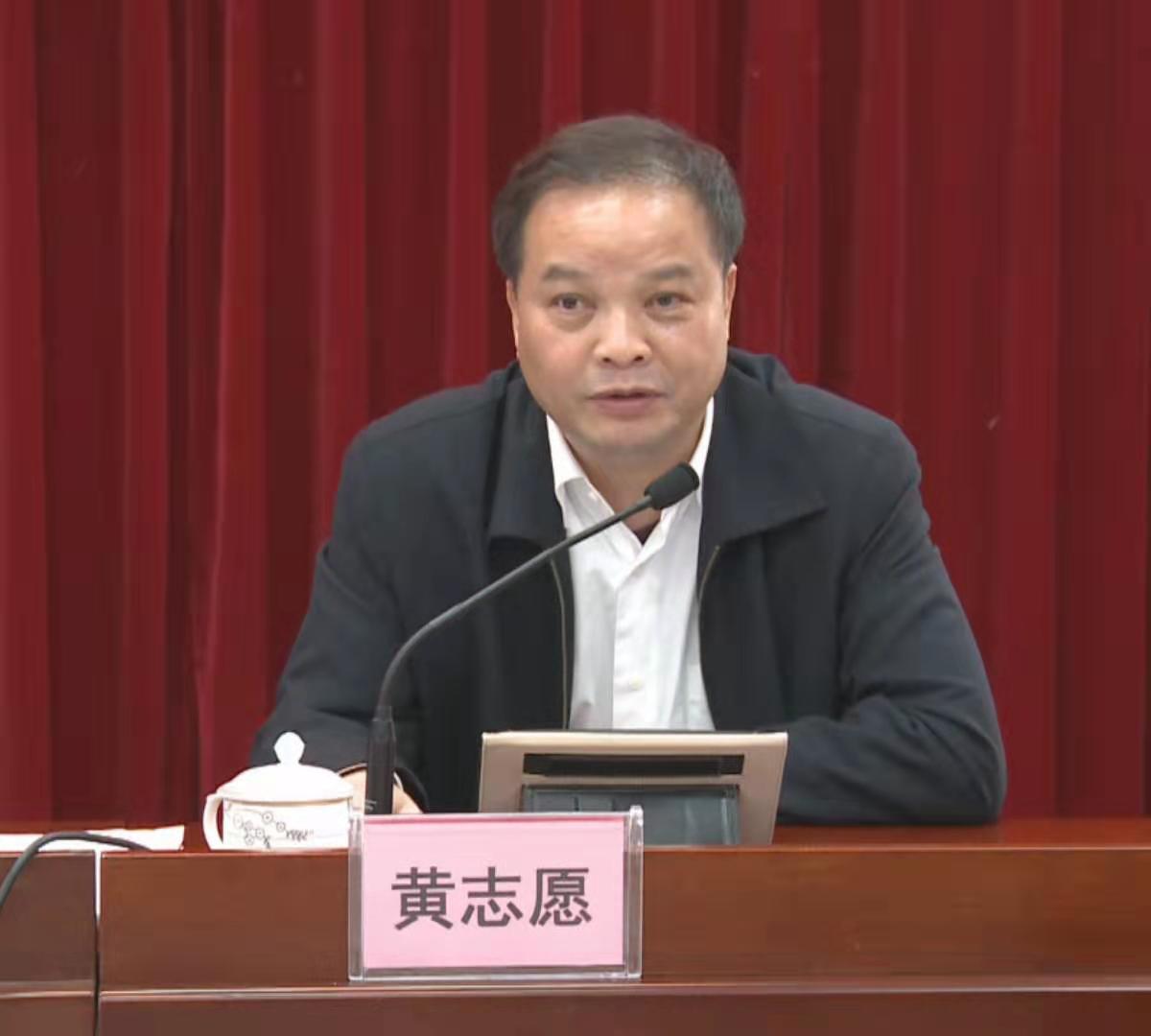 图为市人大常委会党组成员,平果县委书记黄志愿在会上作发言