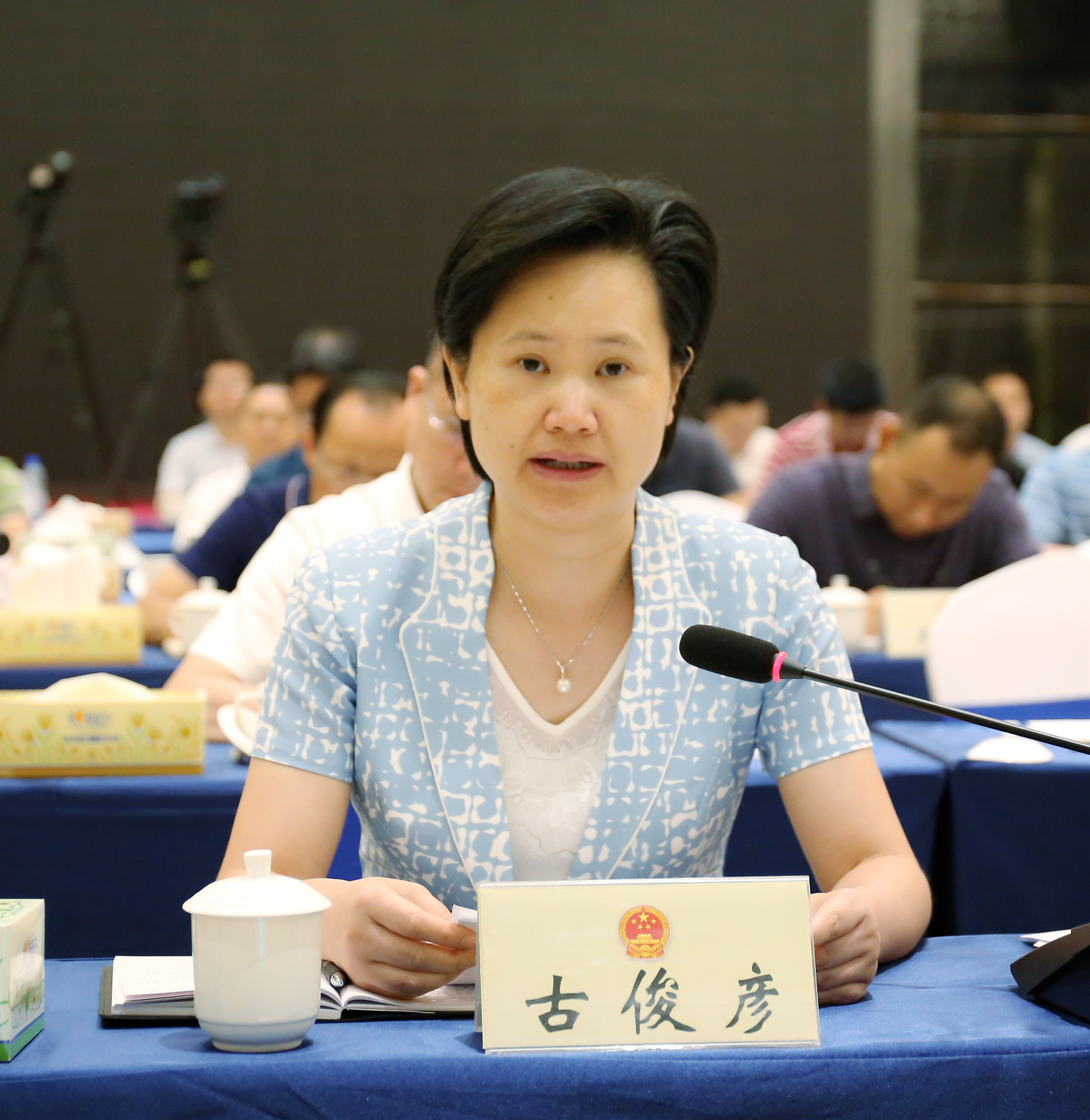 图为古俊彦副市长代表市政府作表态发言图为覃平委员询问图为市扶贫办