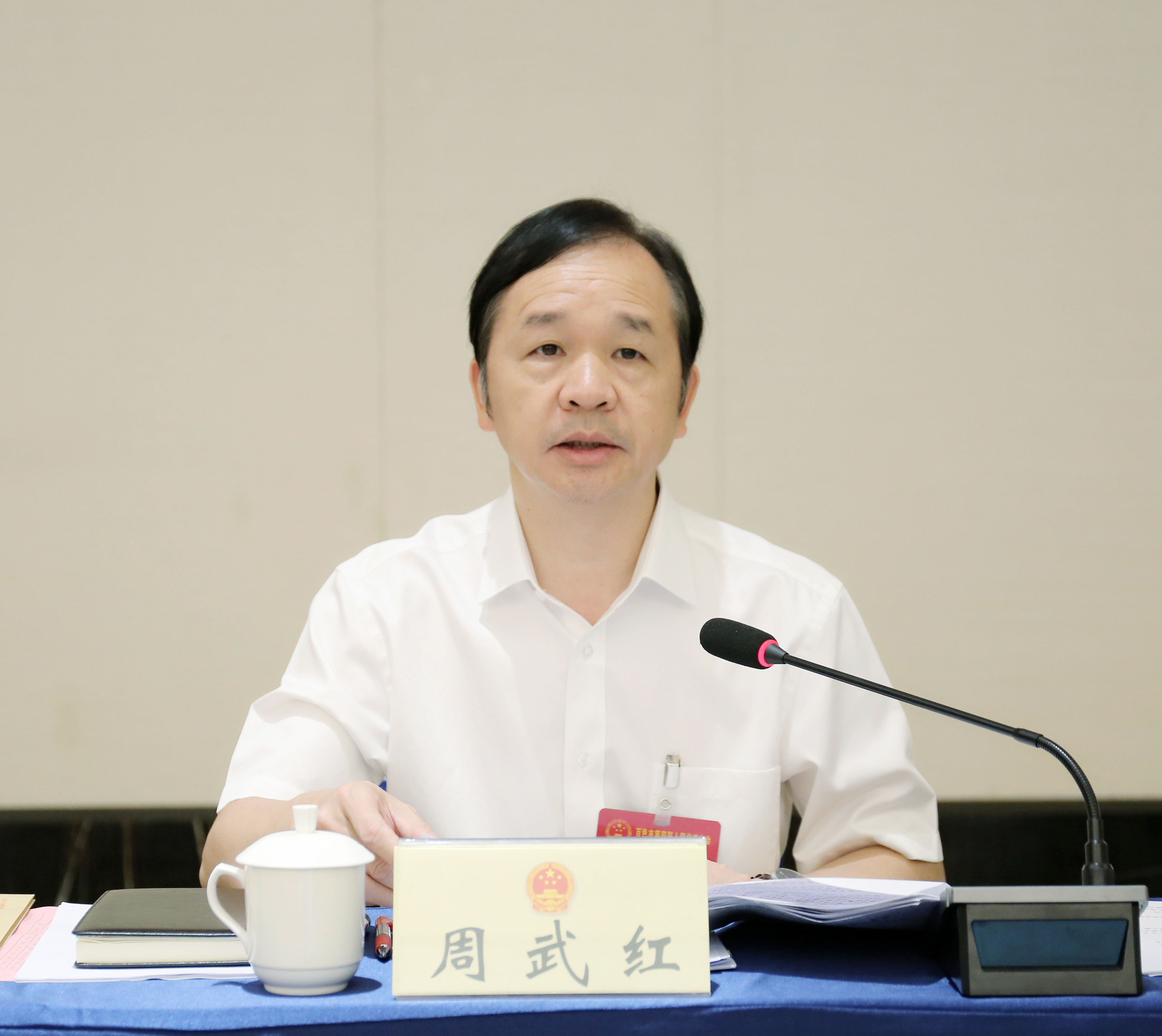 覃平委员询问图为市扶贫办主任黄茂兵应询图为谭振宁委员询问图为市