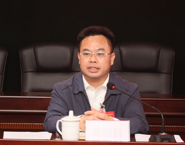 葛国科参加田阳区代表团审议