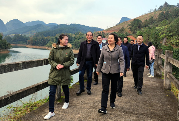 广西百色人大网