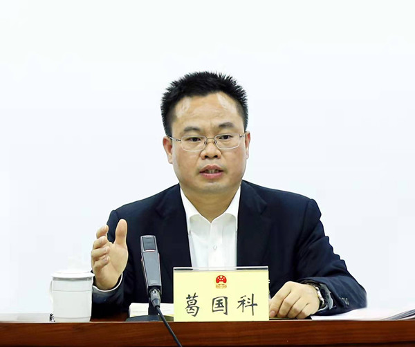 葛国科参加右江区代表团审议