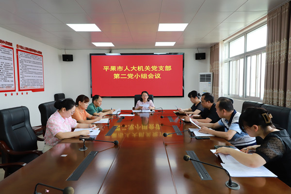 平果市人大常委会机关党支部召开党小组会议