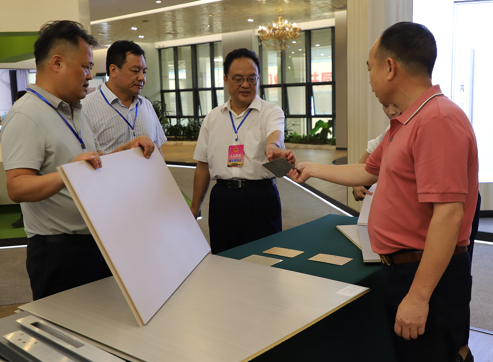 雷震到平果市新安镇开展人大代表进站履职活动
