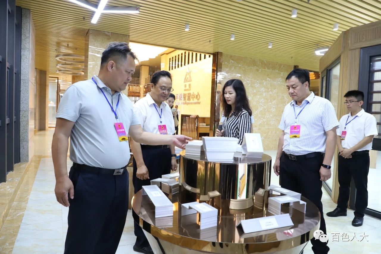 雷震到平果市参加混合编组多级联动履职为民主题活动