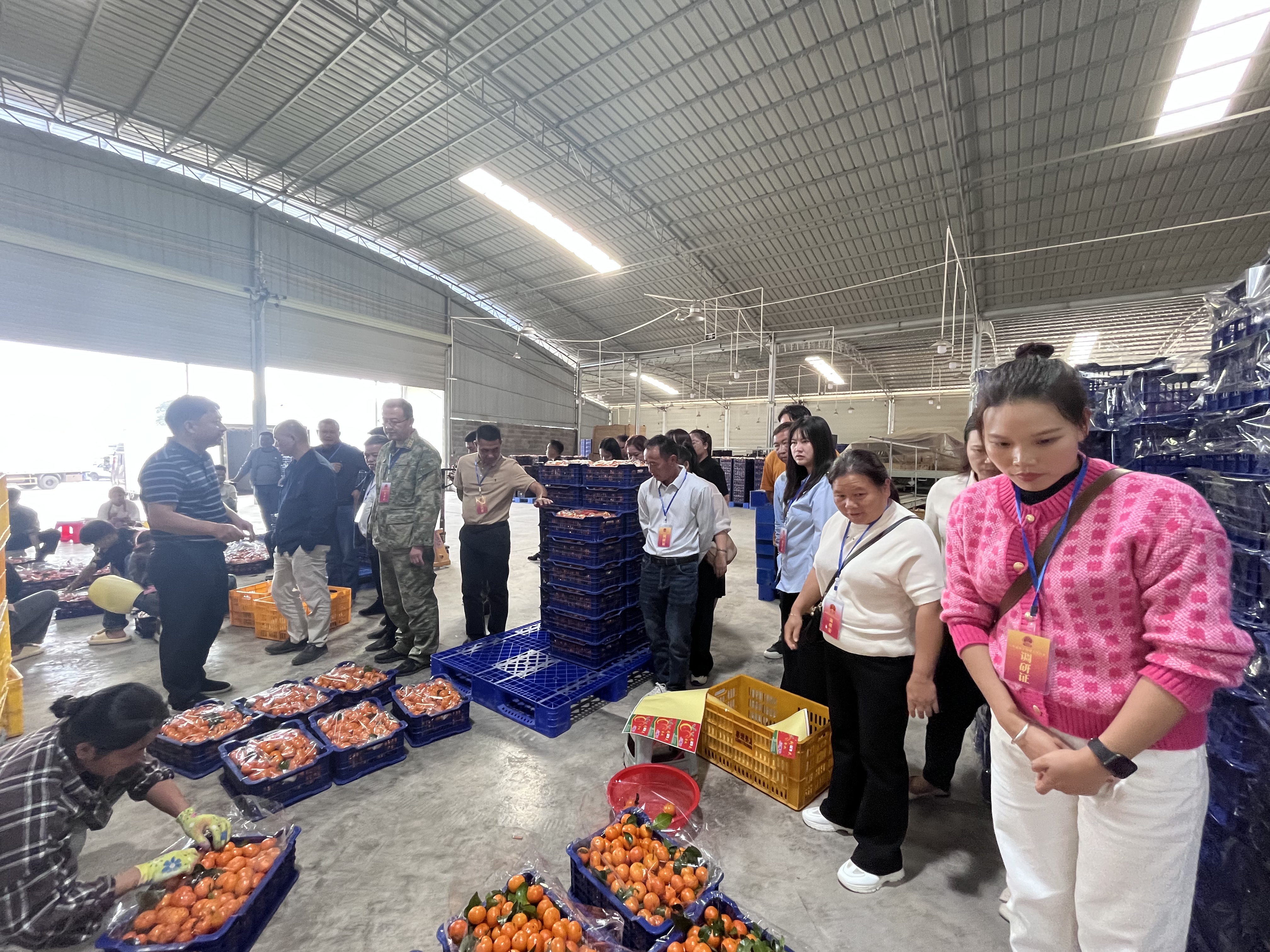 八达镇人大组织西林县第十三届人大代表八达镇代表团开展2023年度专题