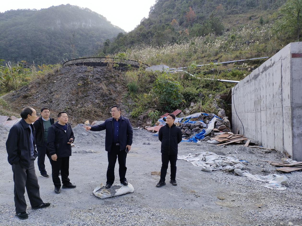 凌云县人大常委会到逻楼镇开展2023年民生实事项目建设完成情况和县级