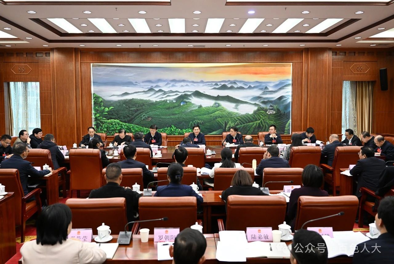 百色市代表团审议自治区人大常委会工作报告