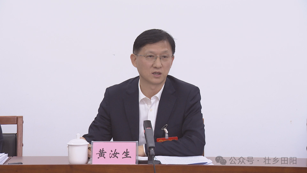 黄汝生参加田阳区代表团审议时强调全力以赴推动各项决策部署落地落实