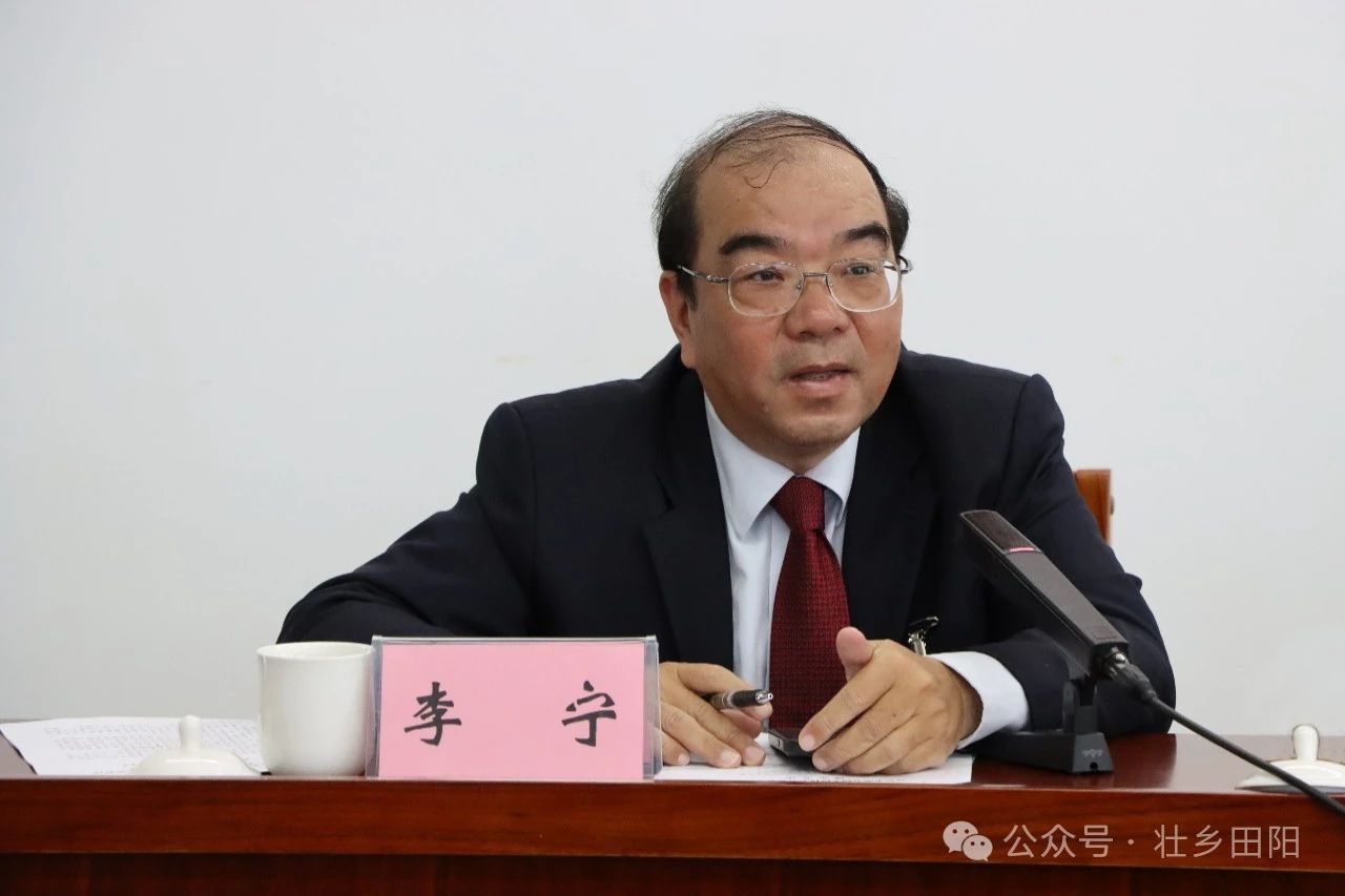 黄汝生参加田阳区代表团审议时强调全力以赴推动各项决策部署落地落实