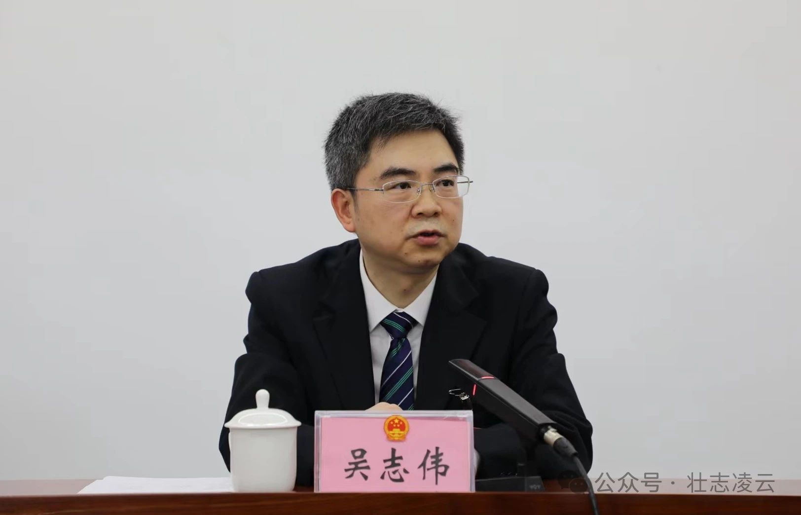 吴志伟参加凌云县代表团审议