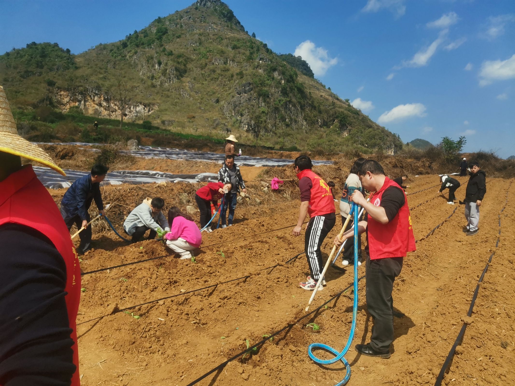 都安乡人大代表深入田间地头助力春耕生产