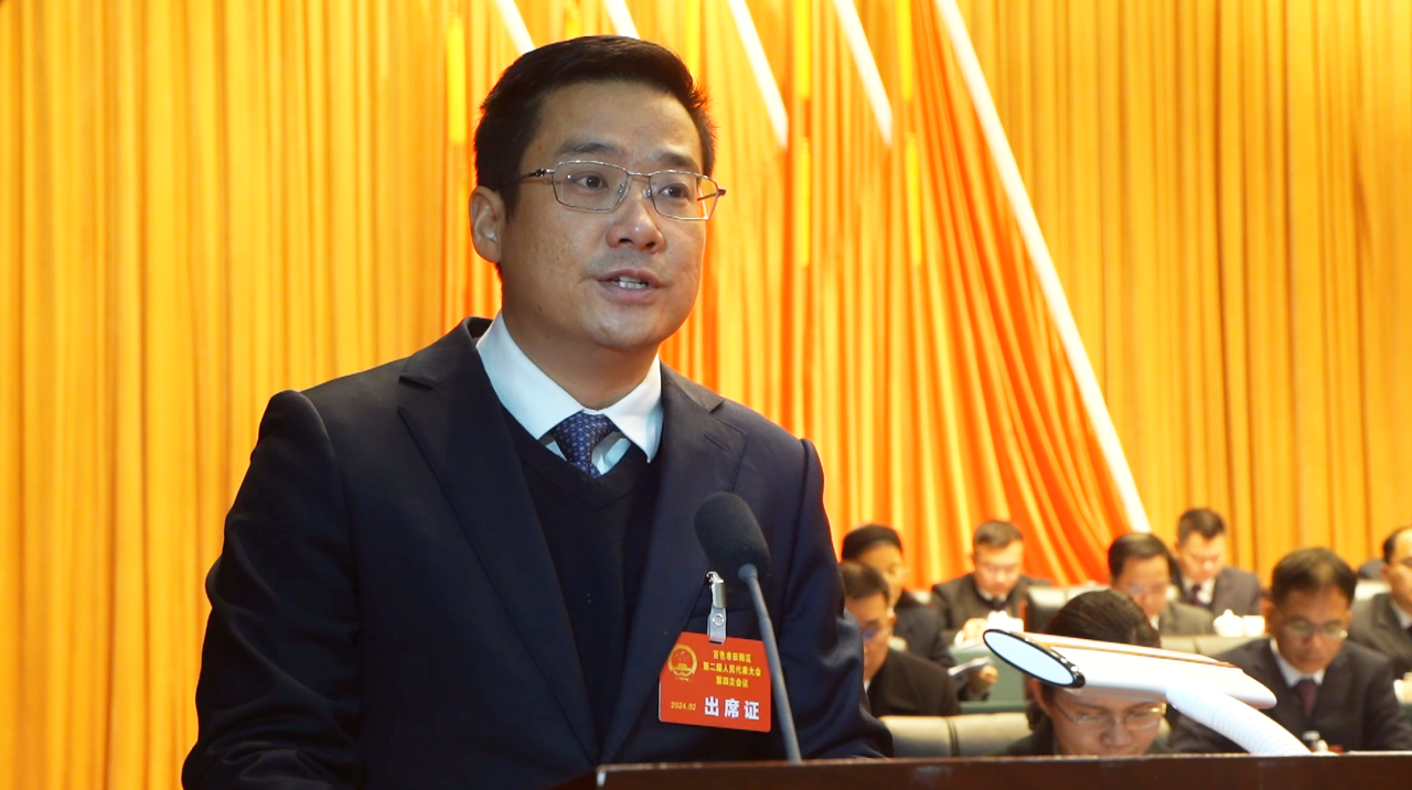 曾维康作百色市田阳区人民政府工作报告