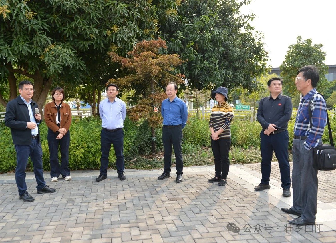 周武红率队到田阳区开展广西文化旅游发展大会筹备工作调研