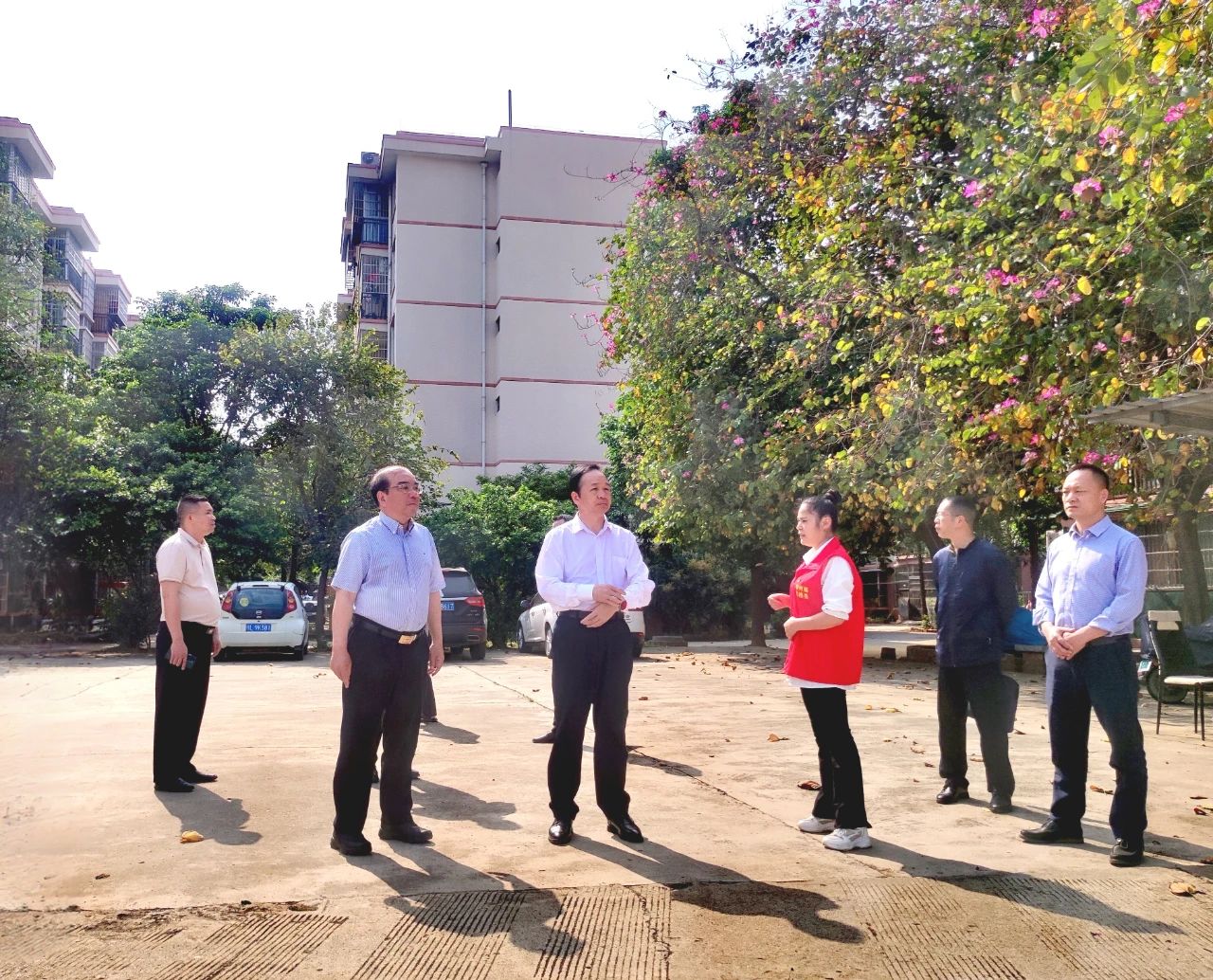 广西百色人大网