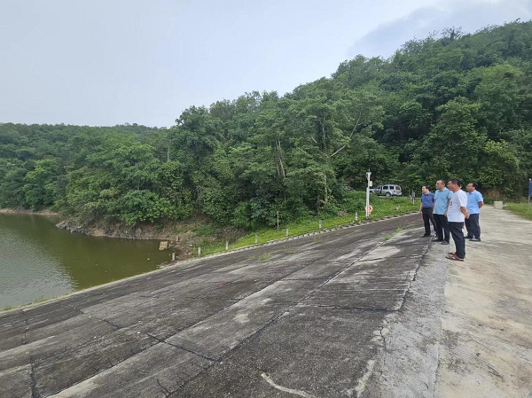 田阳区人大常委会副主任张海东到玉凤镇视察防汛工作