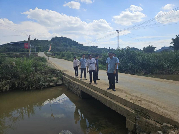 田阳区人大常委会副主任张海东到玉凤镇视察防汛工作