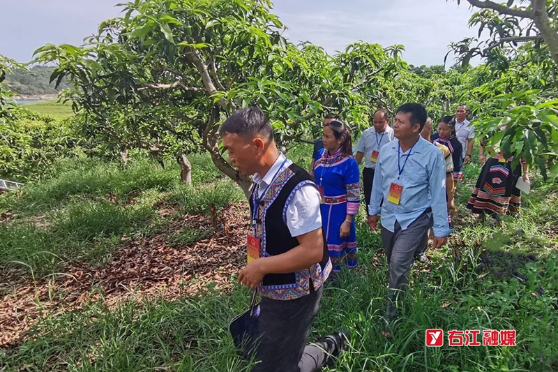 永乐镇:人大代表汇聚产业链