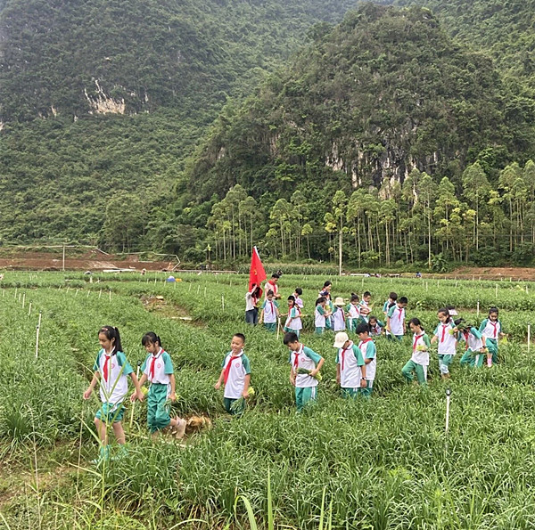 与爱"童"行,情暖"六一"——餐甲村开展欢庆"六一"儿童节活动