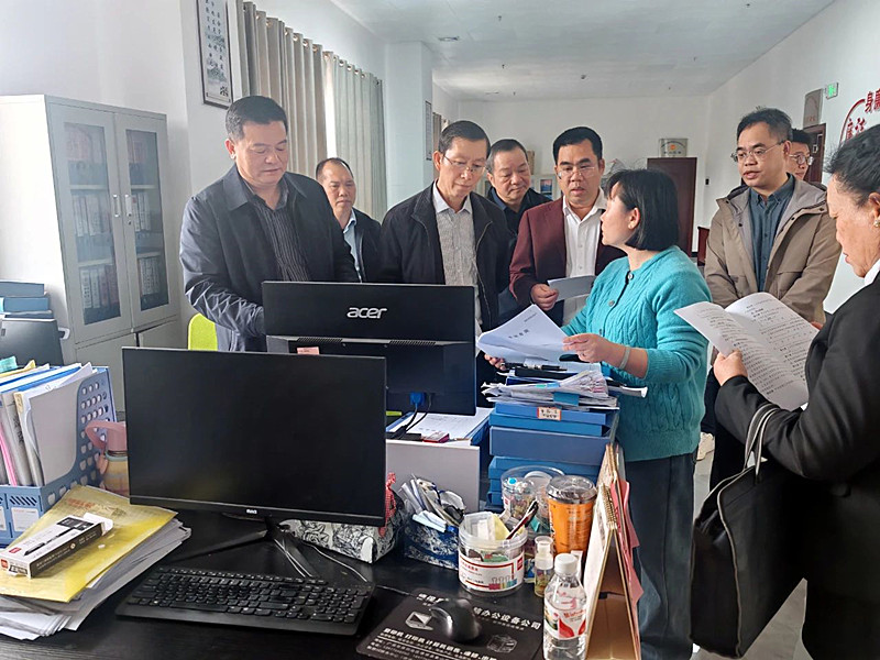 在德保县晟展劳务服务有限公司实地检查.jpg