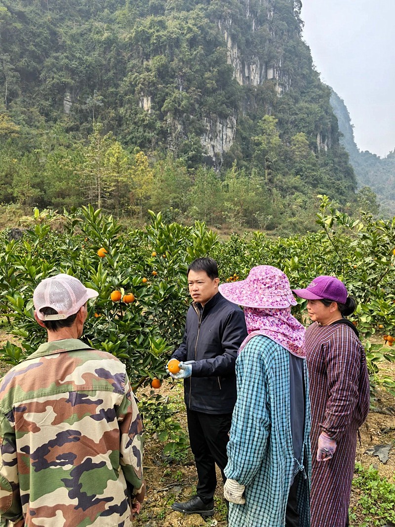 莫晓战代表为群众传授果树剪枝技术.jpg