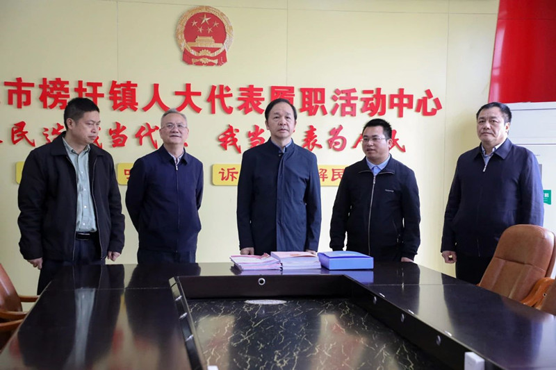 周武红到平果市调研基层人大工作并宣讲十四届全国人大三次会议精神