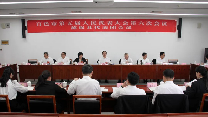 周武红参加德保县代表团审议时强调 守正创新 实干担当 努力交出高分“收官答卷”