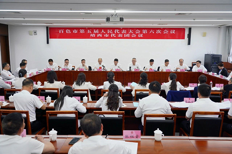 黄永才参加靖西市代表团审议