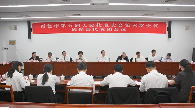 周武红参加德保县代表团审议时要求 提升依法履职水平 推进法治百色建设