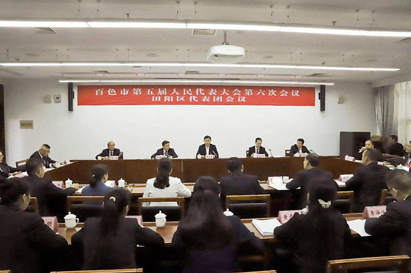 黄汝生在参加田阳区代表团审议时强调 坚定信心 抢抓机遇 加压奋进以实绩实效助力百色经济高质量发展