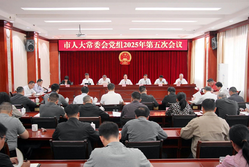 市人大常委会党组召开会议强调：增强服务中心大局的行动自觉，以高质量人大工作服务百色高质量发展