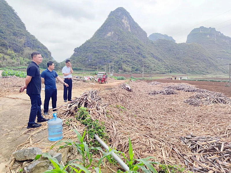 甘富含代表（中）组织群众整改种植乐圩村旱改水地块现场.jpg