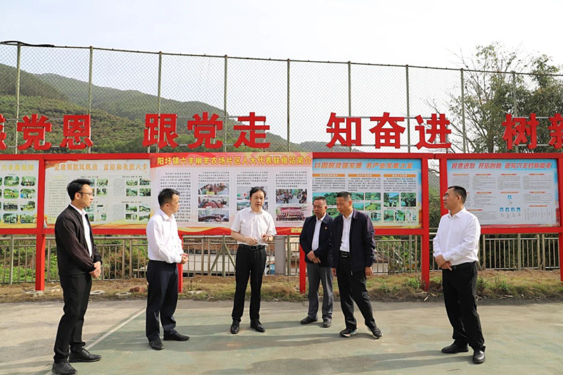 周武红到相关县(区)开展人大工作调研并宣讲全国、自治区和百色市“两会”精神