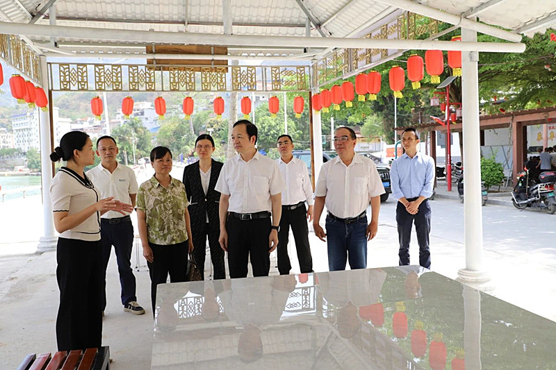 图为在田阳区那坡镇那坡街、镇直、平朴片区人大代表联络站调研.jpg
