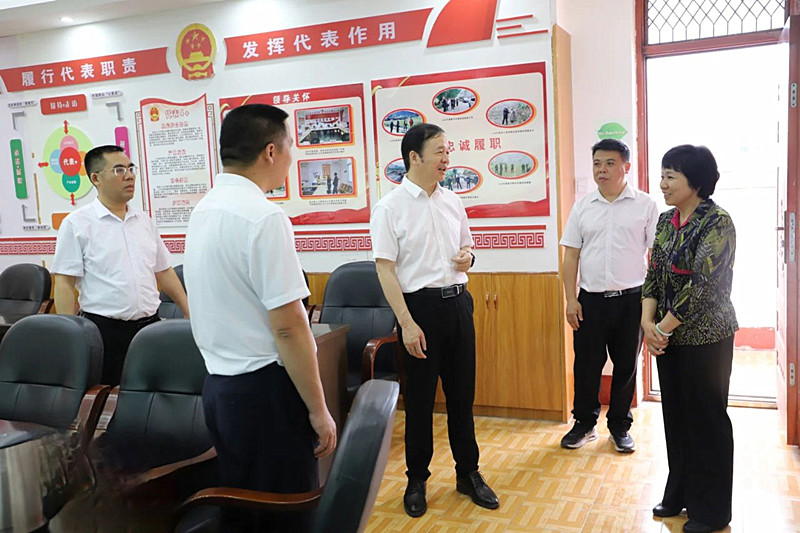 图为在凌云县下甲镇代表履职活动中心调研.jpg