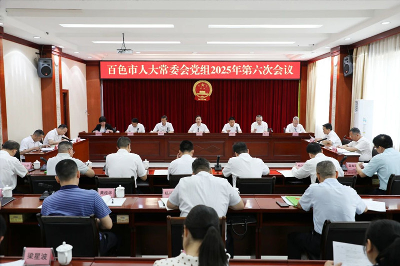 市人大常委会党组召开会议强调：充分发挥人大职能作用，服务发展改善民生